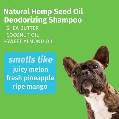 Deodorizing Dog Shampoo, Sweet Pineapple Honey Melon Scent, 17-fl oz bottle