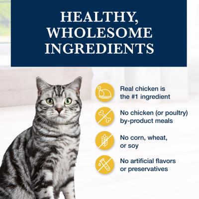 K+M Kidney + Mobility Support Grain-Free Dry Cat Food, 7-lb bag