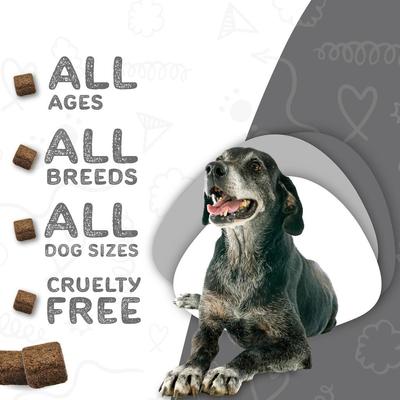 Daily Essentials Multivitamin Senior Dog Supplement, 60 count