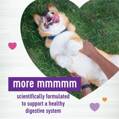 Bundle: Health Condition - Wellness Digestive Health Chews, Digestive Health Dry Food, Digestive Health Wet Dog Food