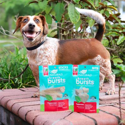 Breath Bursts Peppermint Bits Small Dental Dog Treats, 4-oz bag