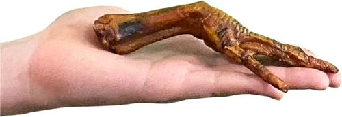 Smoked Chicken Feet Dog Treats, 10 count