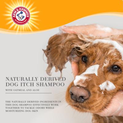 Ultra Fresh Itch Relief with Oatmeal & Aloe Value Size with Pump Dog Shampoo, 24-fl oz bottle