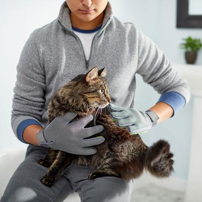 Grooming Glove, Pair