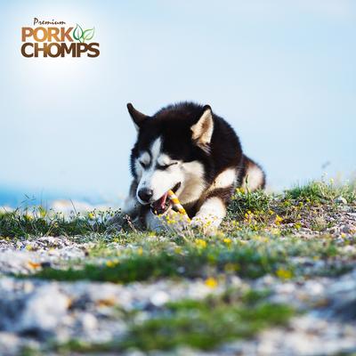 Real Chicken Wrapped Twists Dog Treats, Large, 4 count