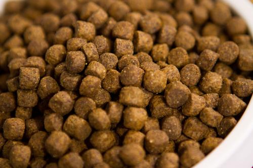 Holistic Puppy Diet Dry Dog Food, 13-lb bag