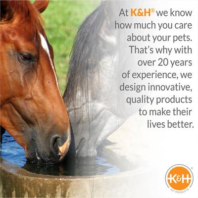 Thermo-Hose Heated Rubber Water Hose, 20-ft