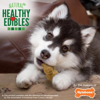 Golosinas de hueso para perro Healthy Edibles de larga duración con sabor a cordero y manzana, tamaño pequeño (4 unidades)