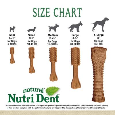 Nutri Dent Filet Mignon Flavored Dog Dental Chews, Small, 28 count