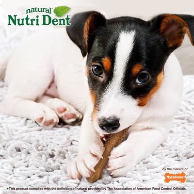 Nutri Dent Filet Mignon Flavored Dog Dental Chews, Small, 28 count