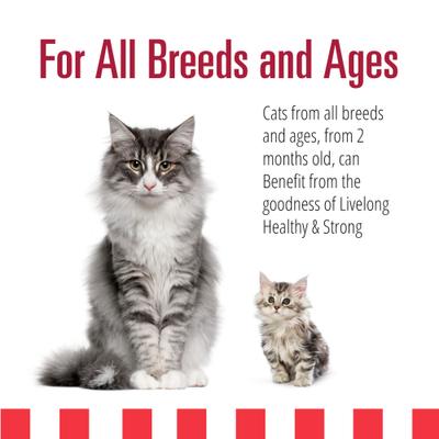 Yummy Meats Wet Cat Food, 5.5-oz can, 24 count