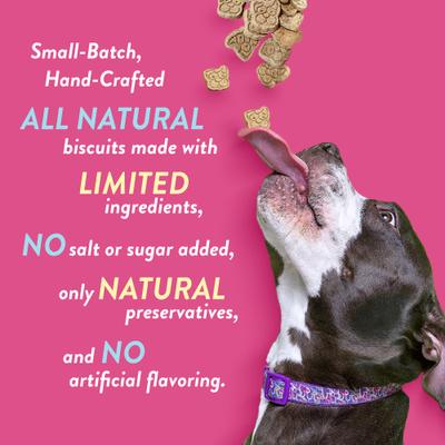 Birthday Bites Peanut Butter Biscuits Crunchy Dog Treats, 24-oz bag