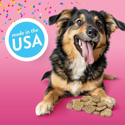 Birthday Bites Peanut Butter Biscuits Crunchy Dog Treats, 24-oz bag