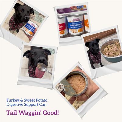 Digestive Support Turkey & Sweet Potato Entrée in Gravy Dog Food, 9-oz can, case of 12