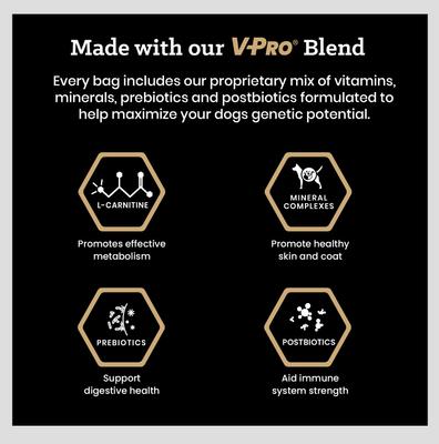 Hi-Pro Strips Tender Beef Recipe High Protein Savory Snack Dog Treats, 14-oz bag