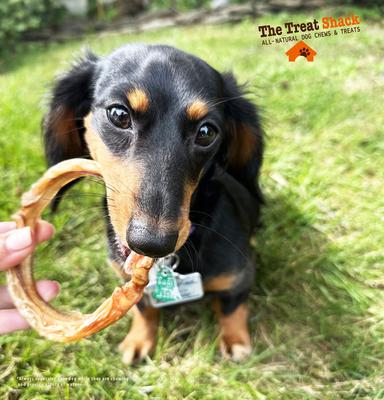 Large Beef Bully Rings Dog Treat, 10 count