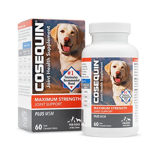 Nutramax Cosequin Maximum Strength Plus MSM, frasco de 60 tabletas masticables para perros